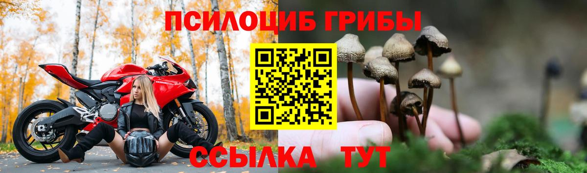 Глазов  Галлюциногенные грибы GOLDEN TEACHER  Вход с VPN  Галлюциногенные грибы Psilocybine cubensis 