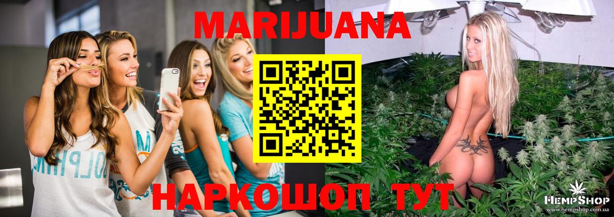 Каннабис OG Kush Глазов
